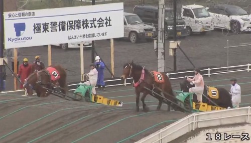 ばんえい競走でドウナンヒメをシバく鈴木恵介騎手の画像