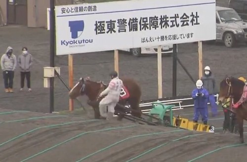 ばんえい競走でドウナンヒメに顔面蹴りを入れる鈴木恵介騎手の画像