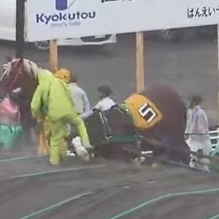ばんえい競馬で厩務員（きゅうむいん）が馬へ顔面蹴りを入れている画像